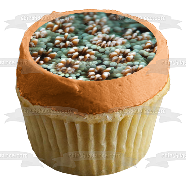 Ocean Life Coral Landscape Edible Cake Topper Image ABPID52520