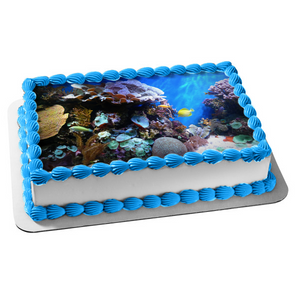 Ocean Life and Scape Fish Coral Edible Cake Topper Image ABPID52571