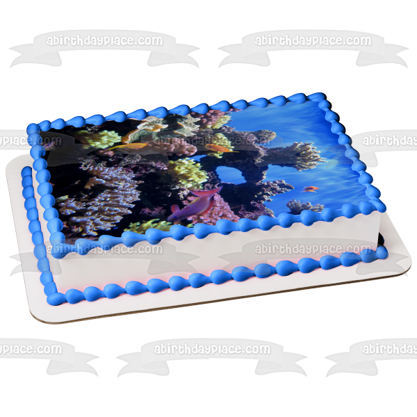 Underwater Ocean Life Fish Coral Edible Cake Topper Image ABPID52575