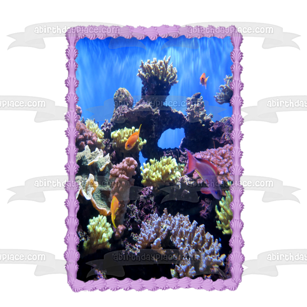 Underwater Ocean Life Fish Coral Edible Cake Topper Image ABPID52575