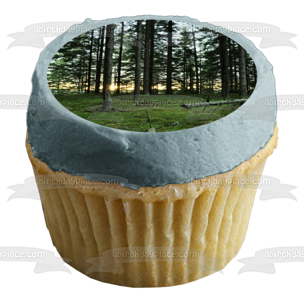 Forest Landscape Edible Cake Topper Image ABPID52586