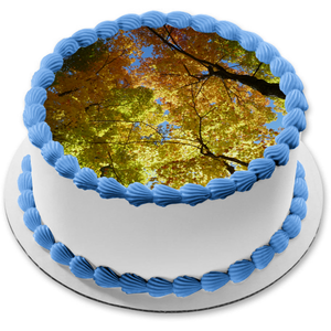 Fall Trees Colorful Leaves Edible Cake Topper Image ABPID52605