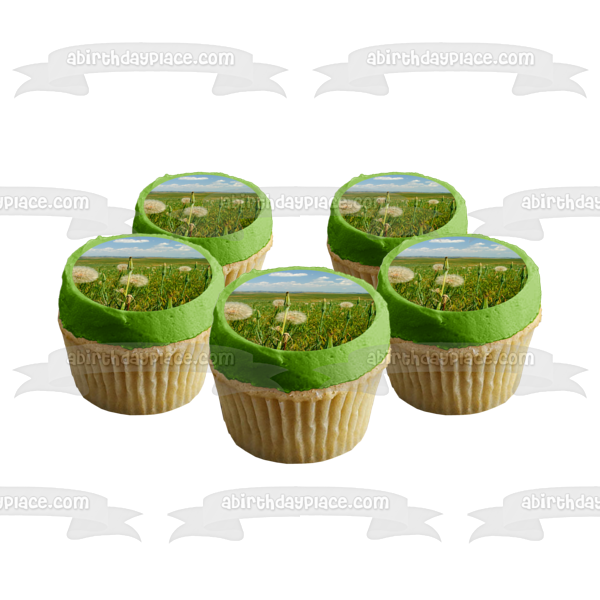 Dandelion Praire Edible Cake Topper Image ABPID52607