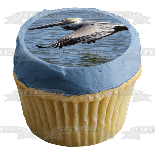 Brown Pelican Edible Cake Topper Image ABPID52608