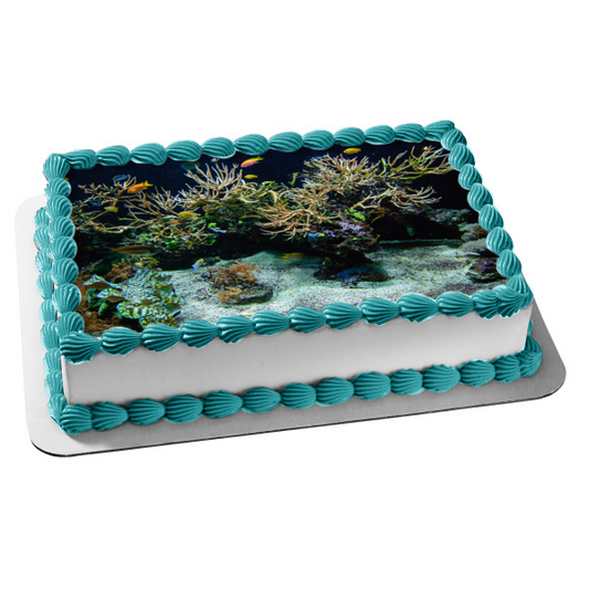 Ocean Life Fish Coral Edible Cake Topper Image ABPID52610