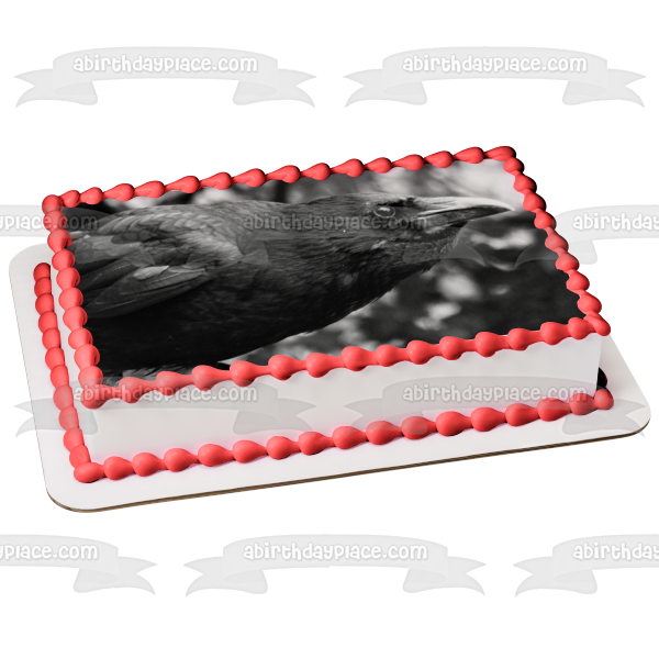 Raven Black and White Nature Edgar Allan Poe Edible Cake Topper Image ABPID52846