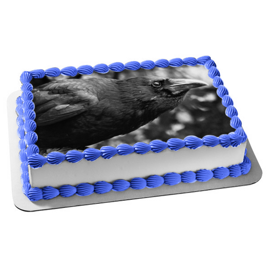 Raven Black and White Nature Edgar Allan Poe Edible Cake Topper Image ABPID52846