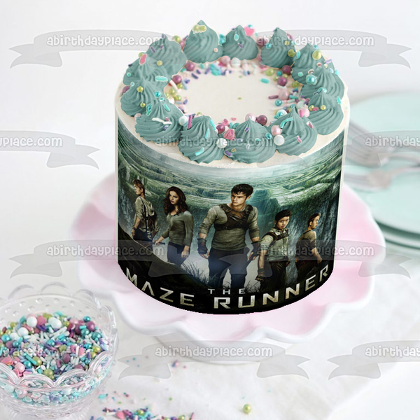 The Maze Runner Newt Minho Gally Thomas Teresa with a Maze Background Edible Cake Topper Image ABPID01425