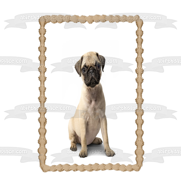 Dogs Pug Puppy Edible Cake Topper Image ABPID01439