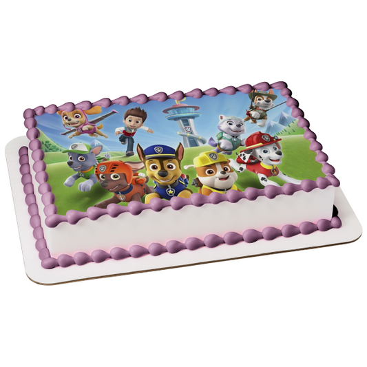 Paw Patrol: The Movie Skye Ryder Everest Zuma Chase Marshall Edible Cake Topper Image ABPID54625