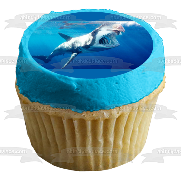 Great White Shark Ocean Open Mouth Sharp Teeth Edible Cake Topper Image ABPID00334