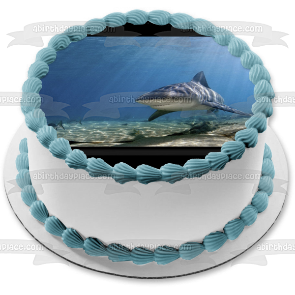Imagen comestible para tarta con diseño de tiburón toro, pez oceánico, luz solar, ABPID00542 