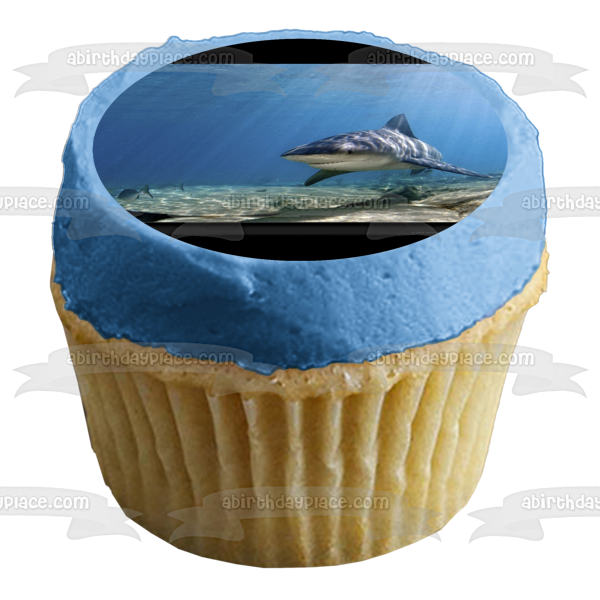 Imagen comestible para tarta con diseño de tiburón toro, pez oceánico, luz solar, ABPID00542 