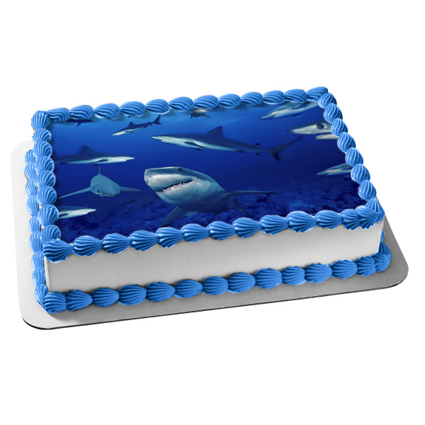 Ocean Sharks Swimming Edible Cake Topper Image ABPID00678