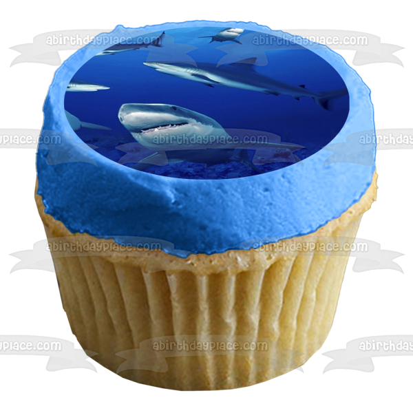 Ocean Sharks Swimming Edible Cake Topper Image ABPID00678