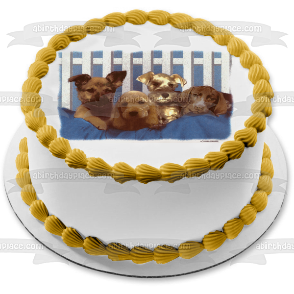 Puppies Black Lab Cocker Spaniel and a Schnauzer Edible Cake Topper Image ABPID03508