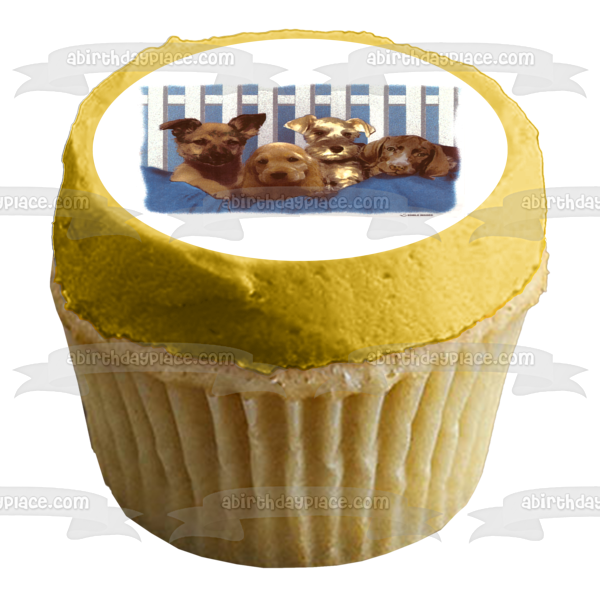 Puppies Black Lab Cocker Spaniel and a Schnauzer Edible Cake