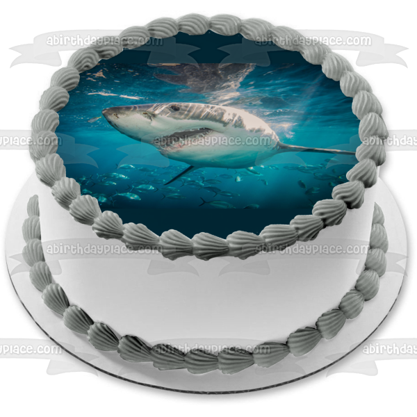 Great White Shark Ocean Open Mouth Sharp Teeth Edible Cake Topper Image ABPID04665