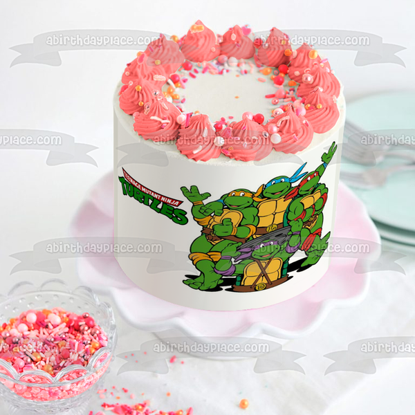 Teenage Mutant Ninja Turtles Tmnt Leonardo Donatello Raphael and Michelangelo Drain Hole Cover Edible Cake Topper Image ABPID04917