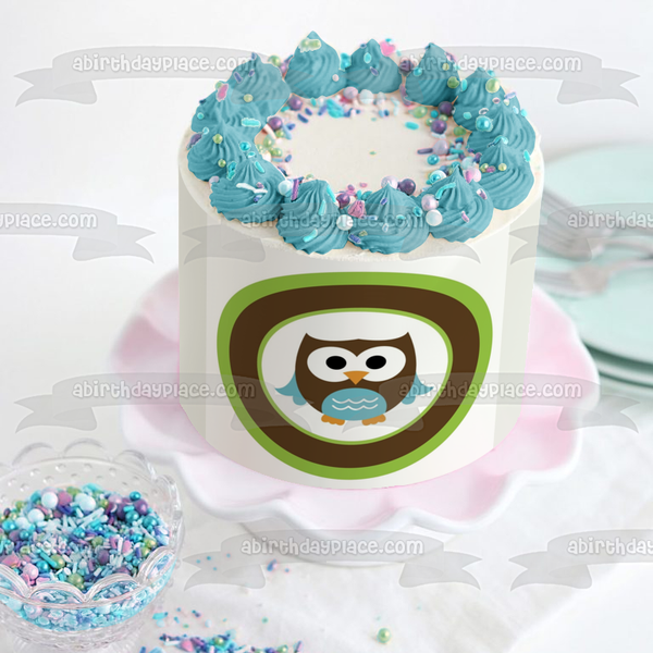 Baby Owl Brown and Blue Edible Cake Topper Image ABPID06362