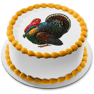 Happy Thanksgiving Colorful Turkey Edible Cake Topper Image ABPID07019
