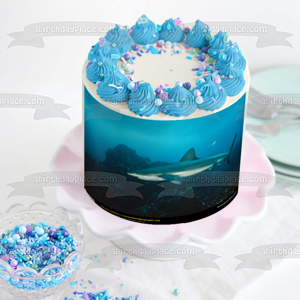 Galapagos Shark Under the Water Edible Cake Topper Image ABPID07276