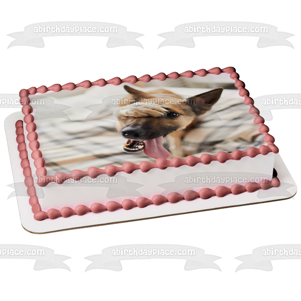 Embarassed Dog with His Paw on His Face Edible Cake Topper Image ABPID55387