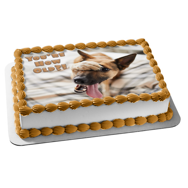 Embarassed Dog with His Paw on His Face Edible Cake Topper Image ABPID55387