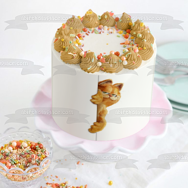 Garfield and Friends Edible Cake Topper Image ABPID08176