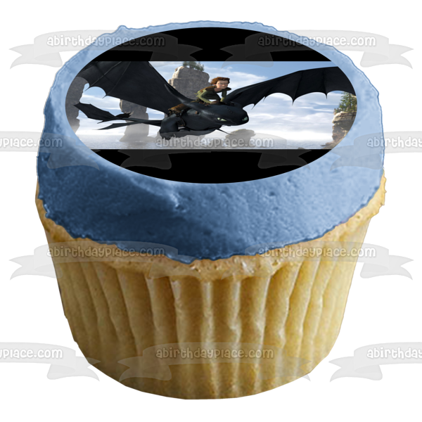 How to Train Your Dragon Toothless Hiccup Edible Cake Topper Image ABPID08441