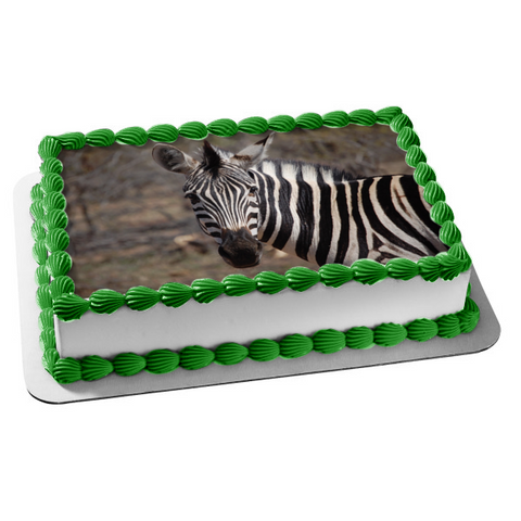 Zebra Animals Trees Background Edible Cake Topper Image ABPID09556