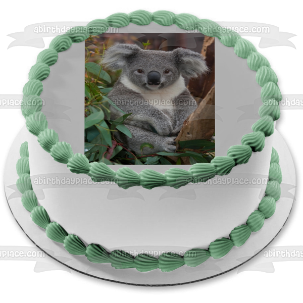 Koala Bear Trees Leaves Edible Cake Topper Image ABPID10082