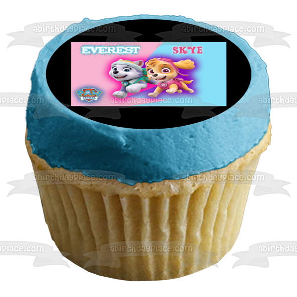 Paw Patrol Everest Skye Blue Pink Background Edible Cake Topper Image ABPID10696