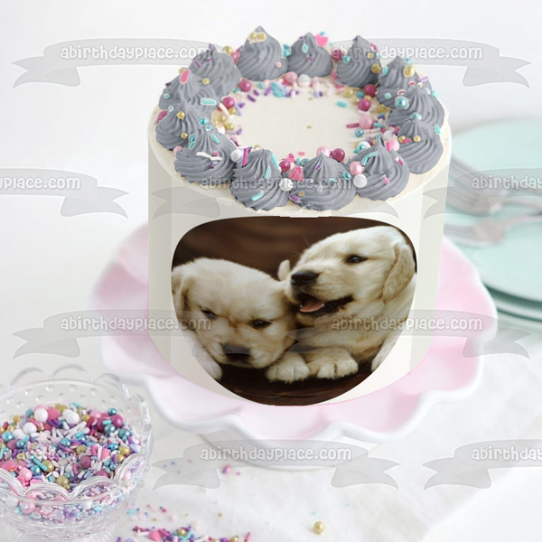 Puppies Golden Retrievers Edible Cake Topper Image ABPID11864