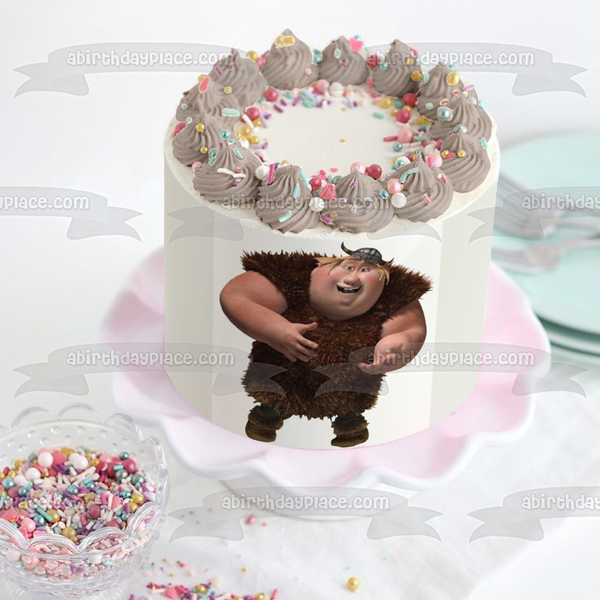 How to Train Your Dragon Fishlegs Edible Cake Topper Image ABPID12173