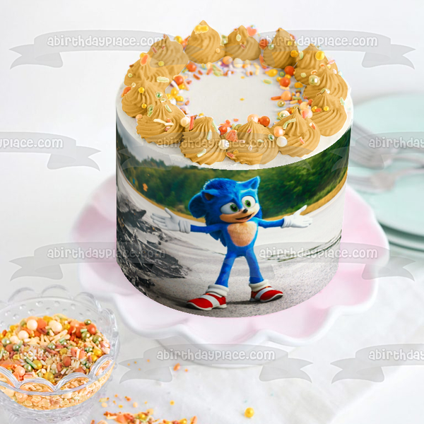 Sonic the Hedgehog Movie Edible Cake Topper Image ABPID56246