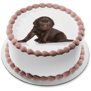 Puppy Black Labrador Edible Cake Topper Image ABPID15523