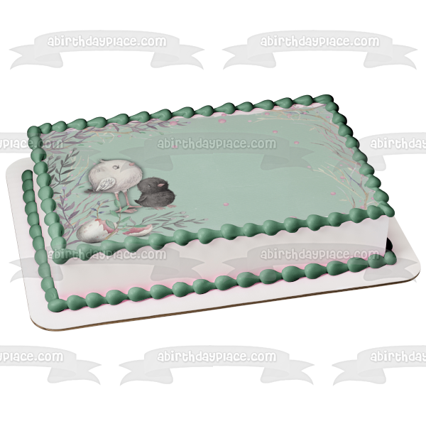 Baby Birds Hatchlings Illustration Edible Cake Topper Image ABPID56270