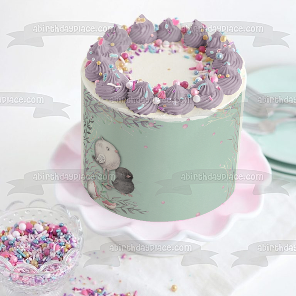 Baby Birds Hatchlings Illustration Edible Cake Topper Image ABPID56270