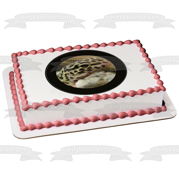 Spotted Gecko Black Circular Edge Edible Cake Topper Image ABPID27262