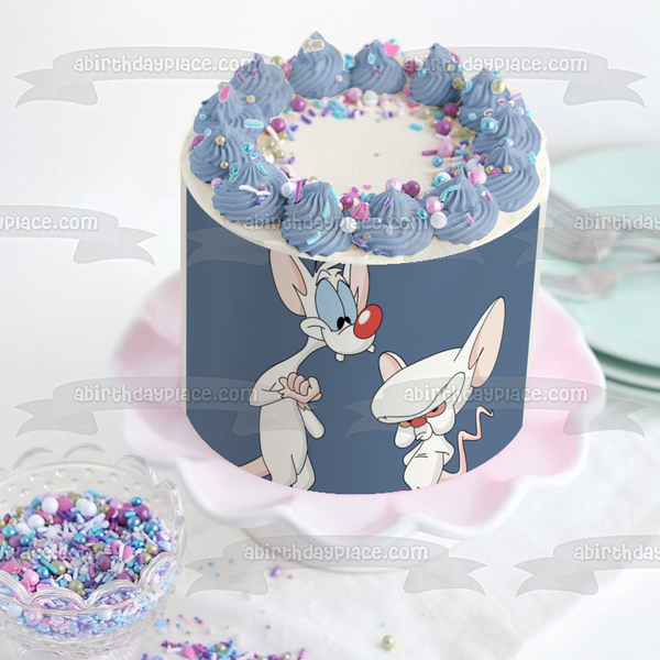 Pinky and the Brain Blue Background Edible Cake Topper Image ABPID49604