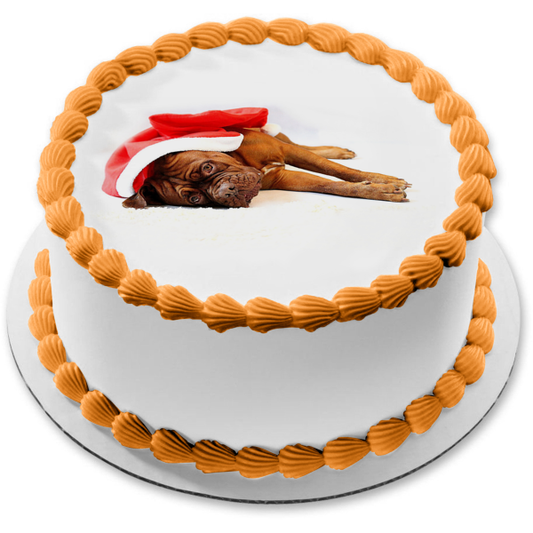 Tuckered Holiday Boxer Edible Cake Topper Image ABPID50461