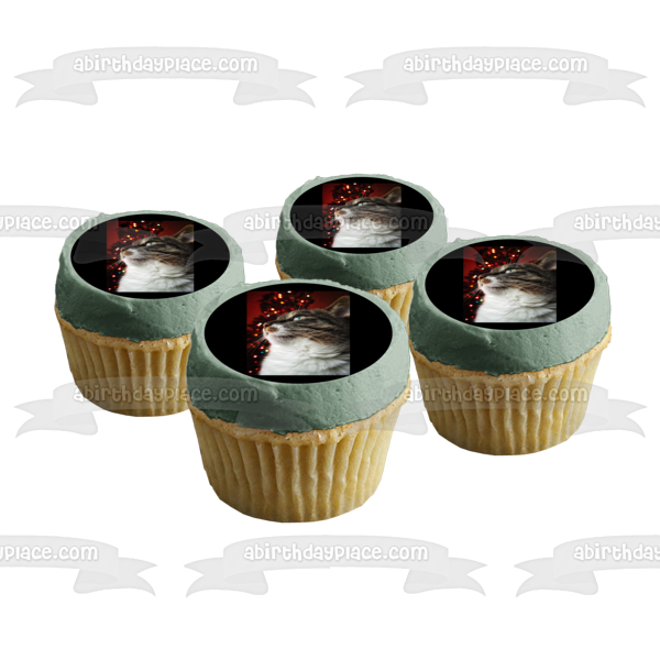 Majestic Holiday Cat Edible Cake Topper Image ABPID50464