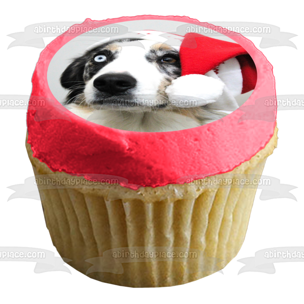 Holiday Hat Australian Shepherd Dog Edible Cake Topper Image ABPID50470