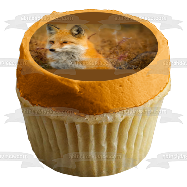 Autumn Fox In Field Edible Cake Topper Image ABPID50475