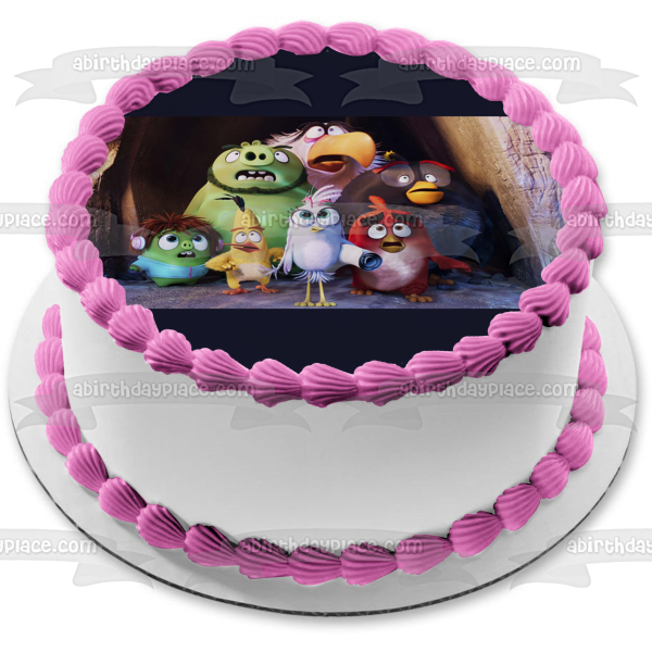 The Angry Birds 2 Pig Mother Terrence Silver Leonard Cave Edible Cake Topper Image ABPID51097