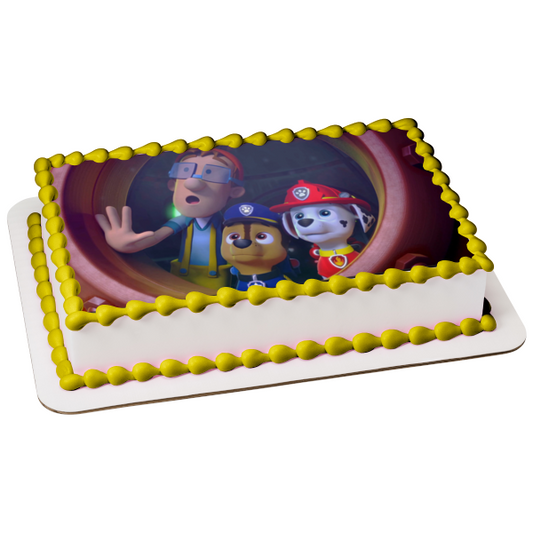 Paw Patrol Merpups Rocky Marshall and Cap'n Turbot Edible Cake Topper Image ABPID56391