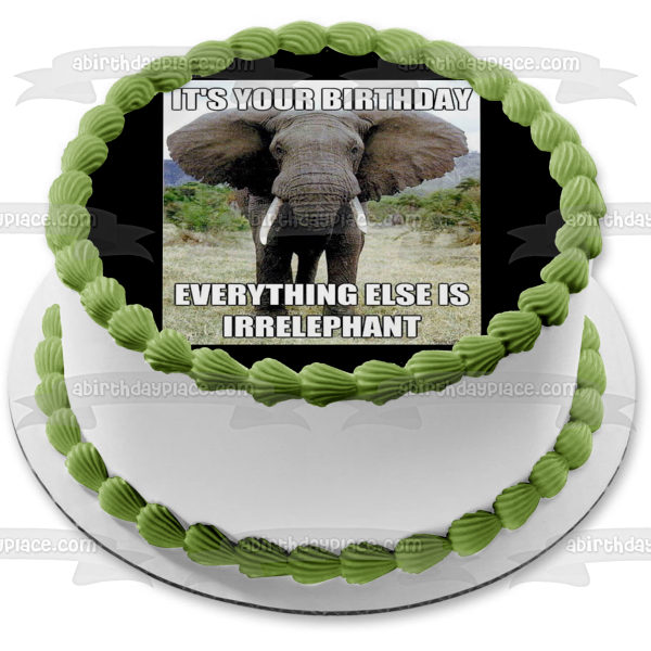 Meme Happy Birthday Elephant "It's Your Birthday Everything Else Is Irrelephant" Edible Cake Topper Image ABPID51479