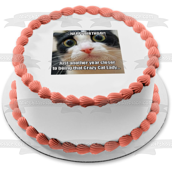 Amazon.com: Grumpy Cat Edible Cake Image Topper 1/4 Sheet Decoration  Birthday Party : Grocery & Gourmet Food