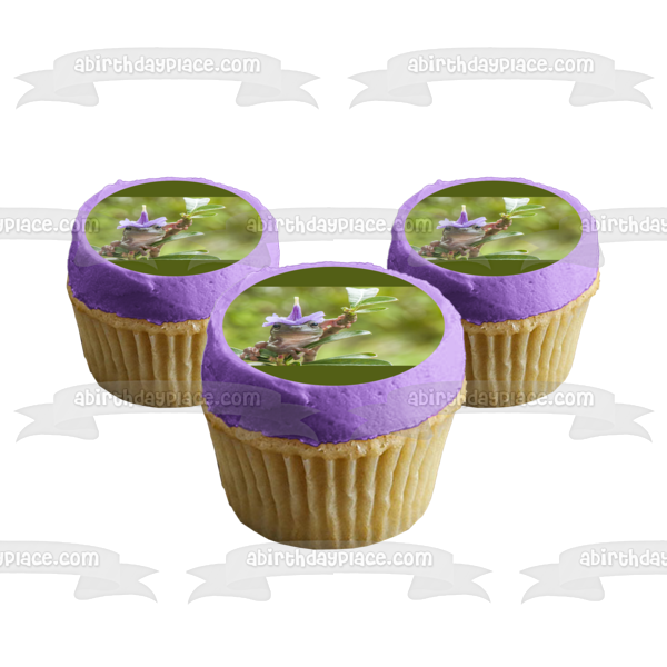 Frog Wearing a Flower Hat Edible Cake Topper Image ABPID52042